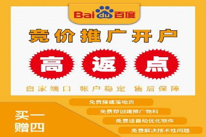 百度竞价排名案例解析：如何快速提升网站流量